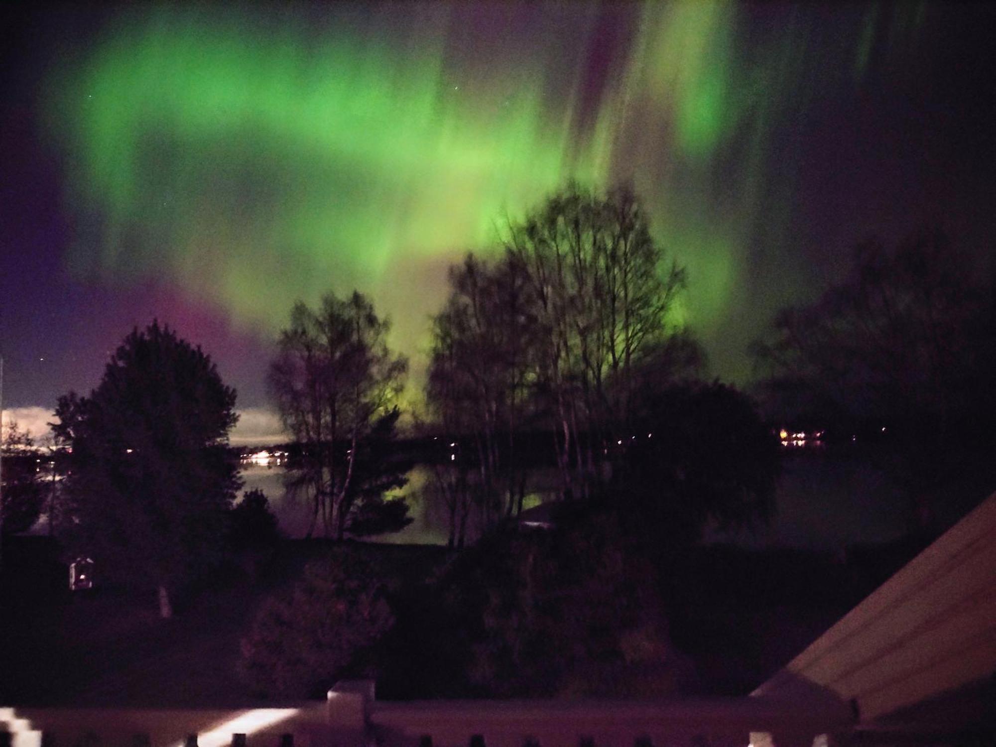 Arctic River Rovaniemi